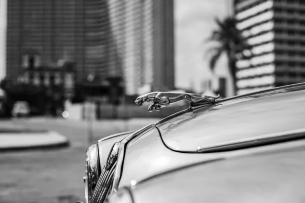 カジノ プライズ ランド ビンゴ Android/iOS アプリ